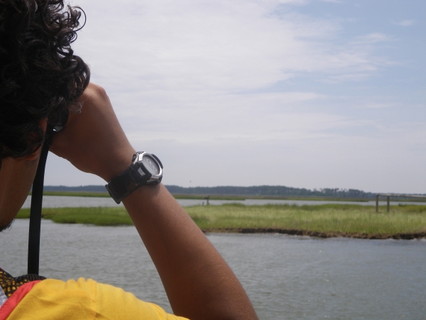 Wildlife watching over estuary through binoculars