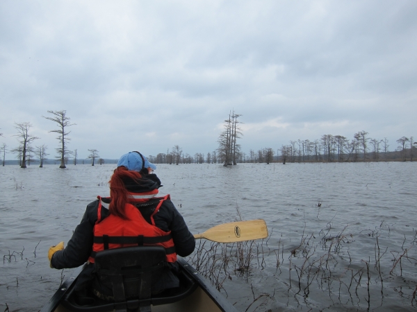 A kayaker on Monopoly Marsh