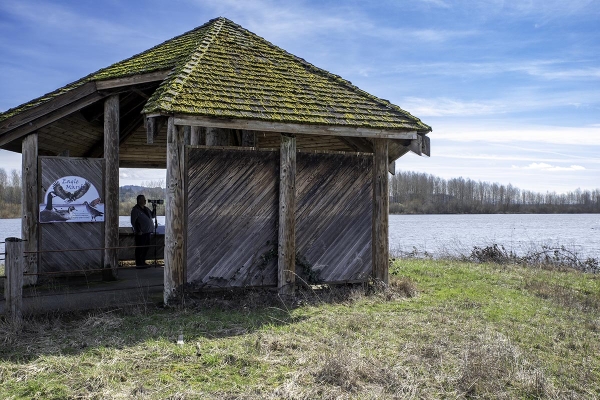 Photographer inside Eagle Marsh Observation Blind