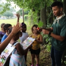 Students learning about tree identification