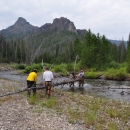 Four people are carrying a large, dead tree into a river. 