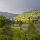 A landscape with a wetland and rolling green hills