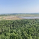 Aerial view of a landscape with forest and wetlands