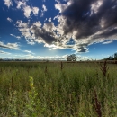 View of a green field under a blue sky with some clouds.