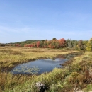 Autumn over wetland at Moosehorn National Wildlife Refuge in Maine