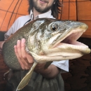 Biological Science Technician Paul Boynton holding an adult Lake Trout