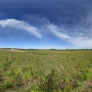 Panoramic view of Pauley Waterfowl Production Area, Minnesota Valley Wetland Management District. Wispy clouds are present in the blue sky over the prairie, containing green grasses. White and yellow flowers are present in the foreground.