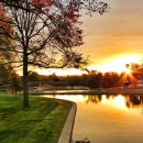 Tree lined pond and visitor center at the Neosho National Fish Hatchery