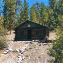 Historic log cabin surrounded by pine trees