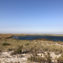 A cloudless blue sky over a dune landscape. A water filled inlet takes up space to the right. There is much vegetation on the dunes. 