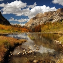 fall foliage in a mountain canyon with a stream in the middle of the canyon.