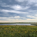 Prairie potholes on Trout WPA