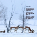 cover of Fish & Wildlife News