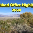 landscape of a field surrounded by brush and trees