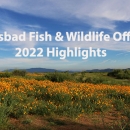 landscape of green hills with orange flowers