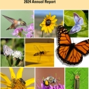 Cover of the Center for Pollinator Conservation 2024 Annual Report featuring a variety of pollinators, including a hummingbird, bees, butterflies and other insects.