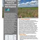 first page of handout