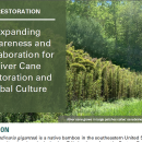 first page of case study handout