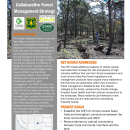 Forest Mayordomos Handout