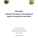 MS TES Consultation Information 2025 (Jan)