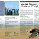 Jocelyn Nungaray National Wildlife Refuge Brochure