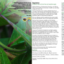 Okefenokee National Wildlife Refuge General Brochure