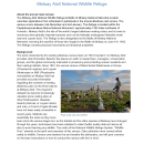 Albatross Nest Census Volunteer Positions at Midway Atoll NWR