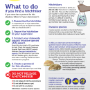 Pet Store Employee Guidance to Respond to Hitchhikers in Shipments