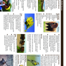 2020 Neal Smith Tear Map