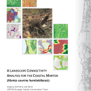 A LANDSCAPE CONNECTIVITY ANALYSIS FOR THE COASTAL MARTEN (Martes caurina humboldtensis)