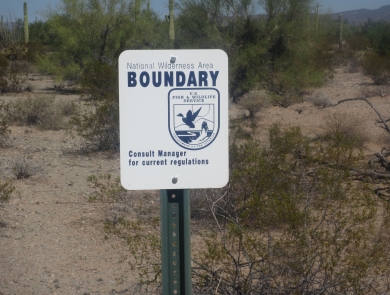 National Wilderness Area Sign with USFWS logo with Sonoran Desert plants behind