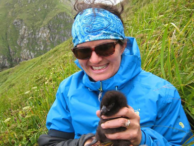 Biologist Heather Renner holds a puffin chick with both hands on the side of a steep slop with green vegetation and a hilltop in the background.