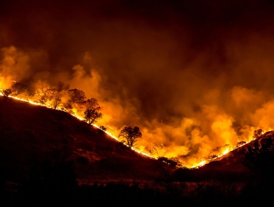 A fire burning across a forest landscape