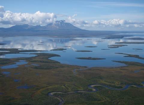 Island Arm Becharof Lake within Becharof National Wildlife Refuge 