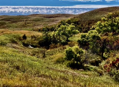 Waterfall in Nebraska Sandhills at Lacreek NWR