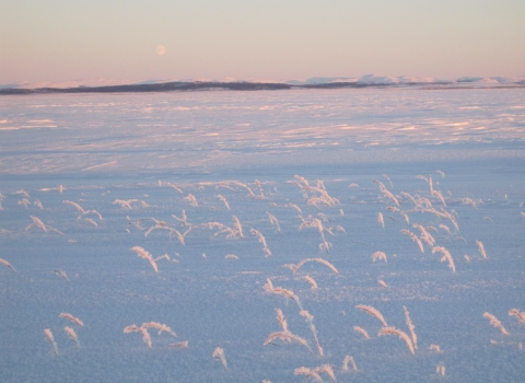 a pastel colored snow field