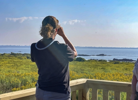 A person in a black shirt and gray pants, standing on a wooden platform looks away from the camera through binoculars, at green vegetation, the ocean, and blue sky.