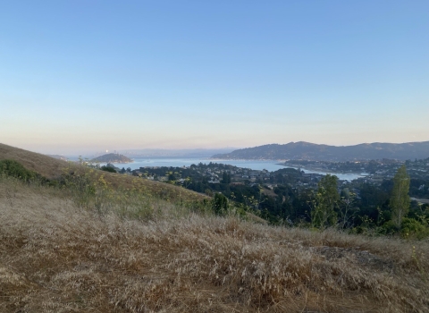 Landscape shot of ocean bay with houses lining the shoreline and grassland in the foreground.