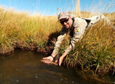 U.S. Fish and Wildlife Service biologist hold Paiute cutthroat trout over stream