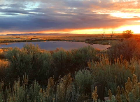 Image of Malheur Lake at sunset