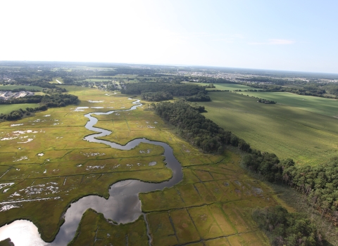Green marshland, a wandering river and human-made canals are visible in this aerial of Cape May National Wildlife Refuge.
