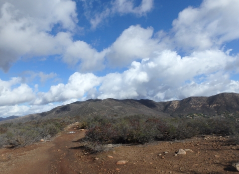 Mountain top with coastal sage scrub and a cloudy sky.