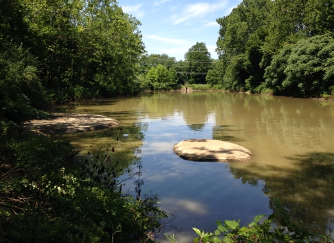 a wide river with dark colored water flows between two heavily forested banks
