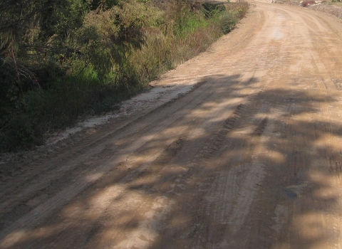 A dirt road with shrubs along the side.
