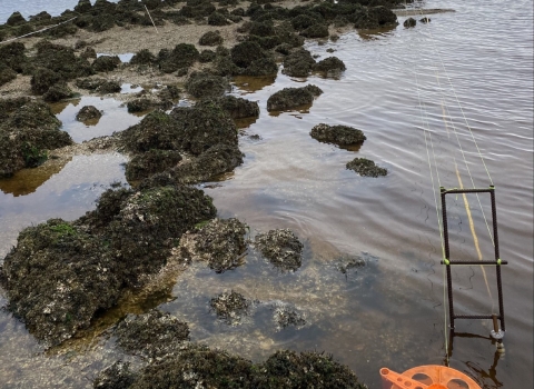 University of Florida student researchers at Lone Cabbage Reef