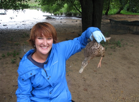 Intern Holding a Mallard Duck