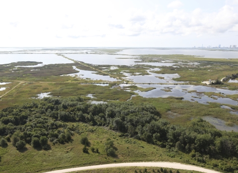 Flood waters cover New Jersey coastland after a hurricane.