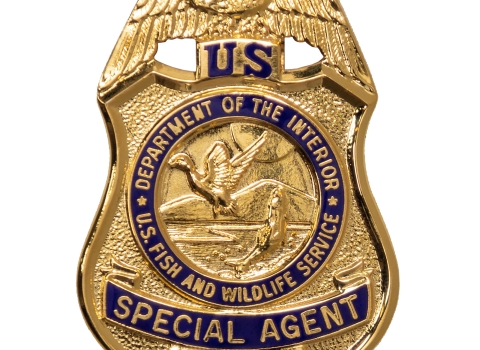 Special Agent badge