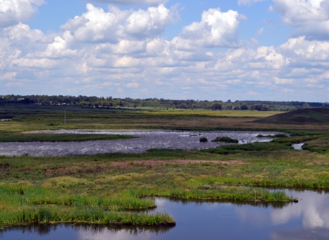 Wetlands under a blue sky with clouds