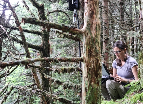 Service biologist Sue Cameron